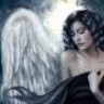 Perle_der_Poesie