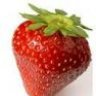 Erdbeere